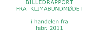 BILLEDRAPPORT